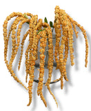 46” Amaranthus Flower Stem Spray ( SS002-Brown ) INT003