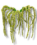 46” Amaranthus Flower Stem Spray( SS002-Green ) INT003
