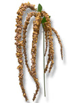 46” Amaranthus Flower Stem Spray ( SS002-2Brown ) INT003