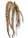 46” Amaranthus Flower Stem Spray ( SS002-2Brown ) INT003