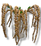 46” Amaranthus Flower Stem Spray ( SS002-2Brown ) INT003