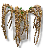 46” Amaranthus Flower Stem Spray ( SS002-2Brown ) INT003