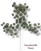 40'' Eucalyptus/Dollar Spray ( LTS1019 )