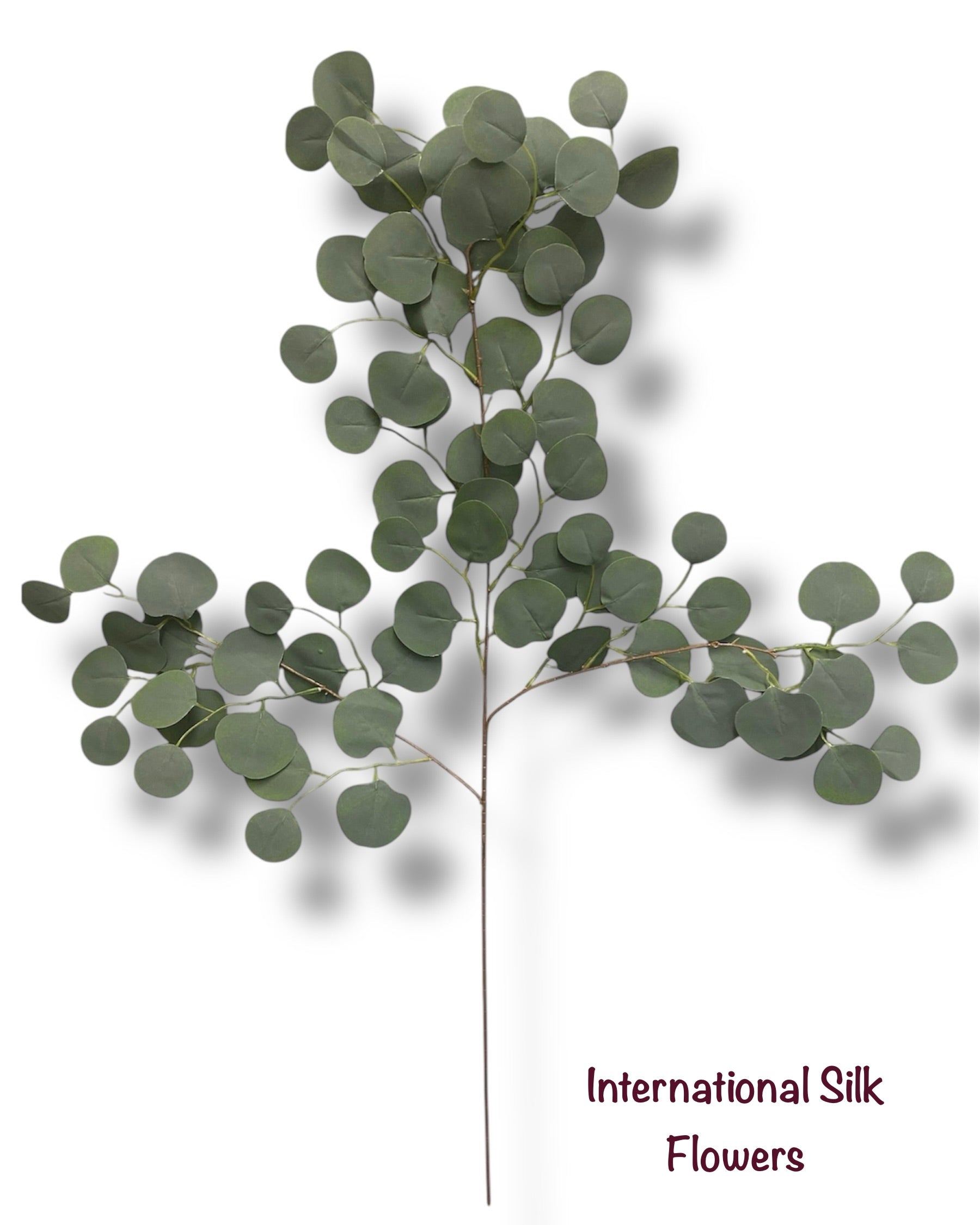 40'' Eucalyptus/Dollar Spray ( LTS1019 )