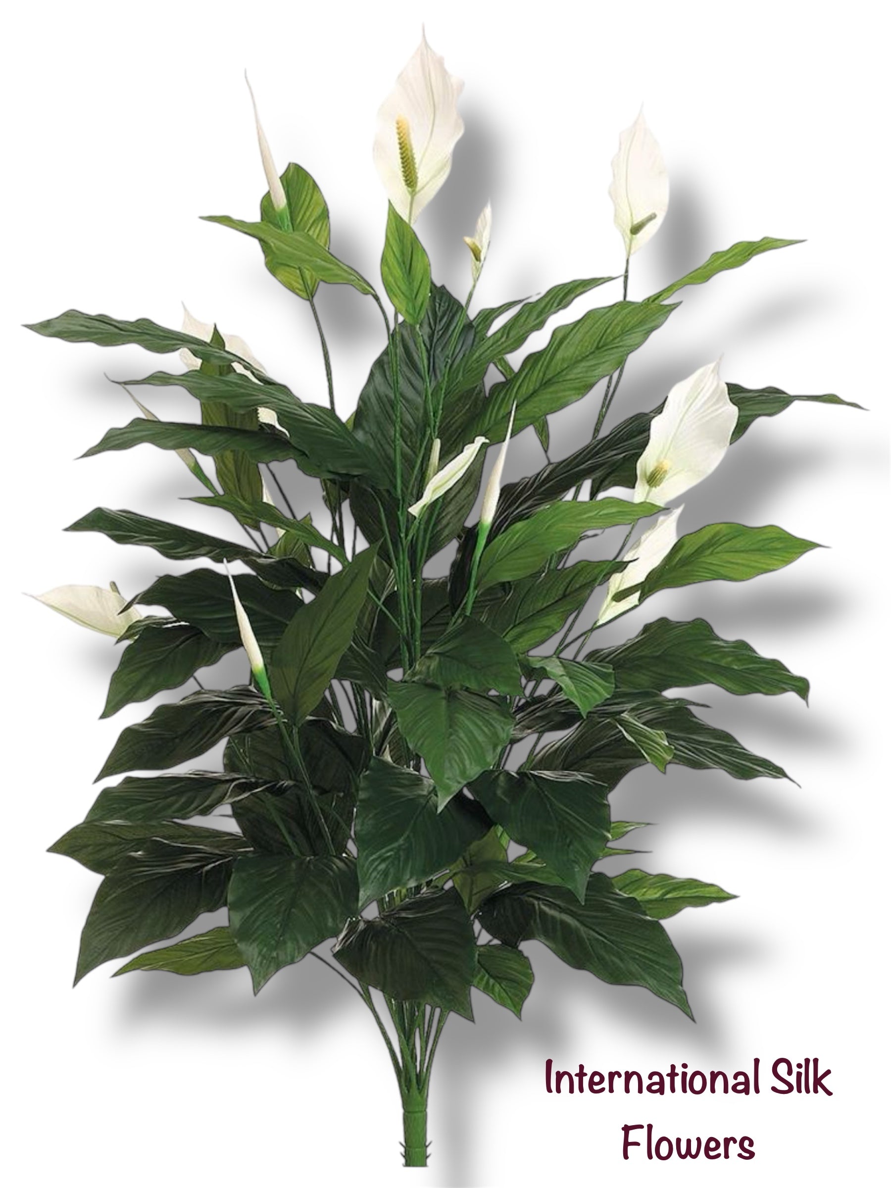 42.5" Spathiphyllum Plant ( PPS527-GR )