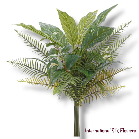 24" Fern/Aglonema Drop-In Bundle ( PBX042-GR/TT )