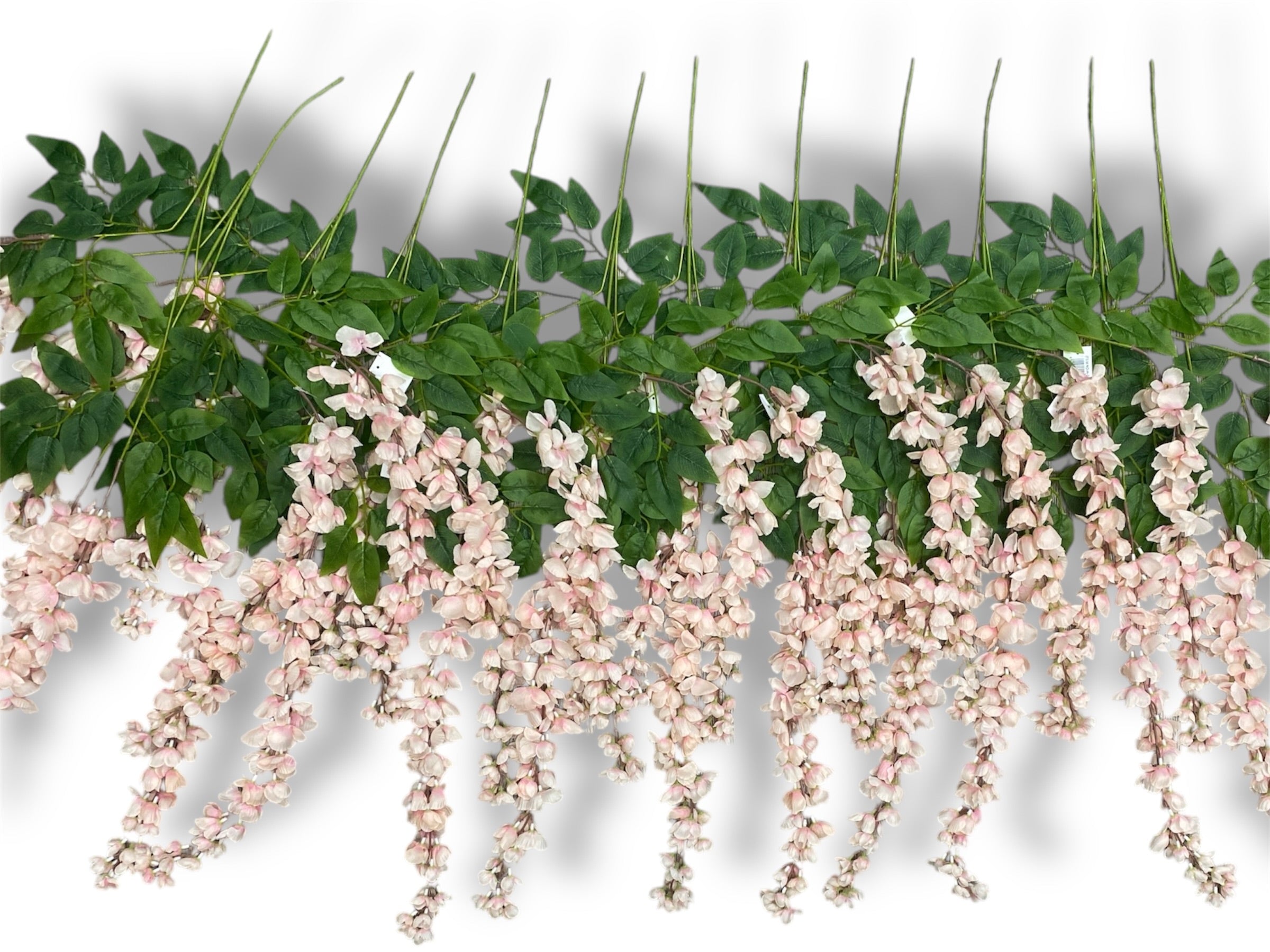 37'' Cassia Fistula ( H3001-Blush )