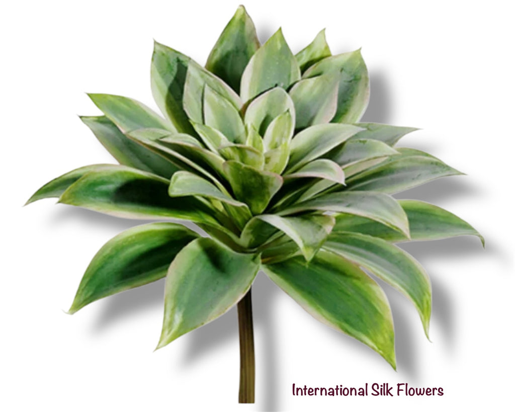 6.5" Echeveria Pick ( CE4206-Green/ 2Tone )