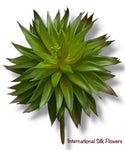 7'' Succulent ( CH0430-GR )