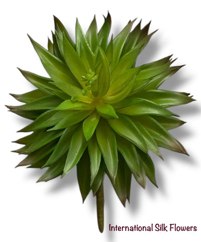 7'' Succulent ( CH0430-GR )