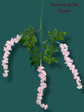 37'' Cassia Fistula ( H3001-PK )