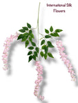 37'' Cassia Fistula ( H3001-PK )