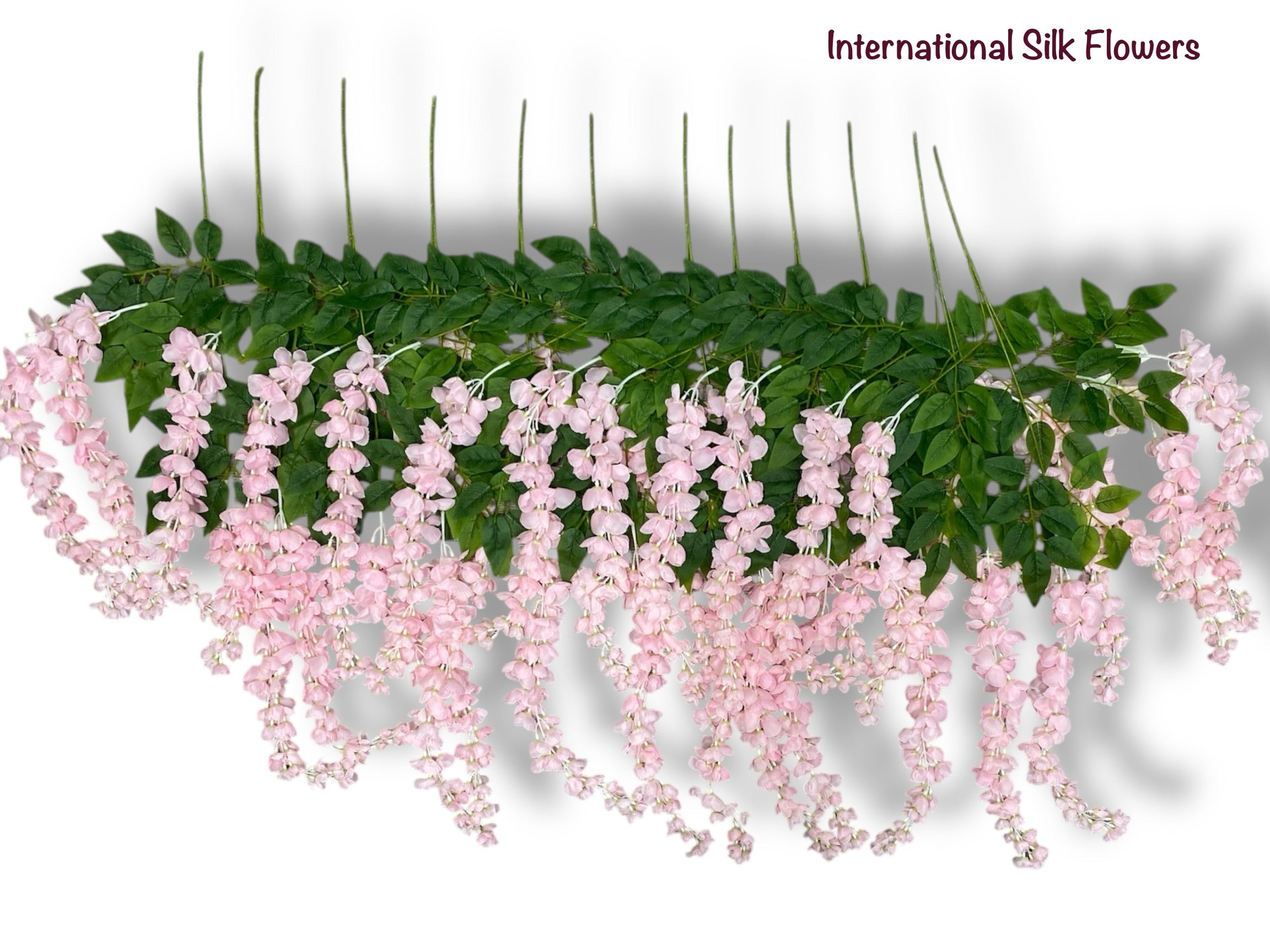 37'' Cassia Fistula ( H3001-PK )