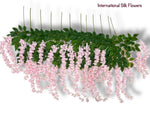 37'' Cassia Fistula ( H3001-PK )