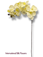 36" Silk Orchid Spray ( S1TJ16-Cream2 ) INT57A