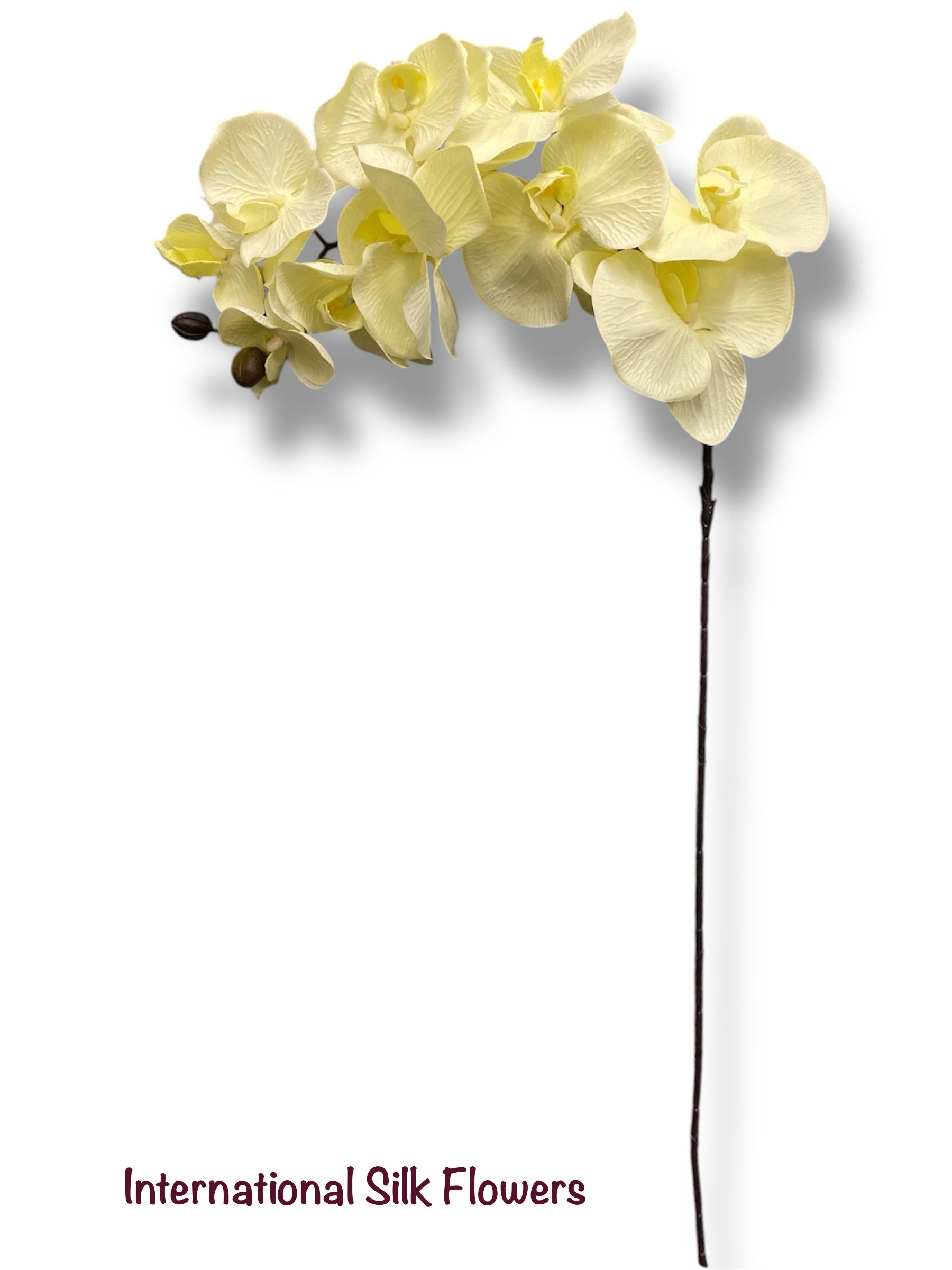 36" Silk Orchid Spray ( S1TJ16-Cream2 ) INT57A