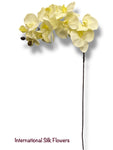 36" Silk Orchid Spray ( S1TJ16-Cream2 ) INT57A
