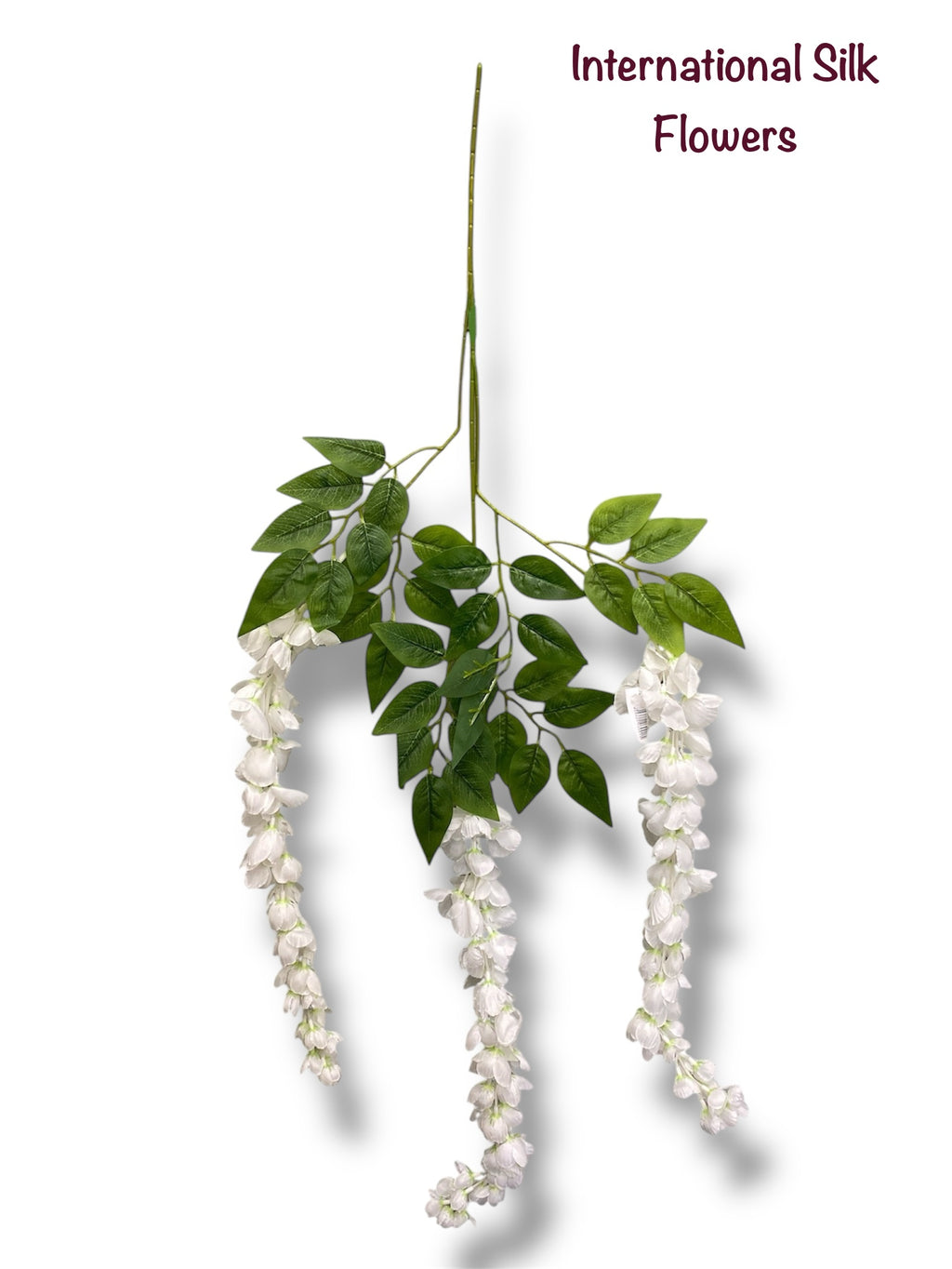 37'' Cassia Fistula ( H3001-WH )