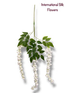 37'' Cassia Fistula ( H3001-WH )