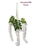 37'' Cassia Fistula ( H3001-WH )