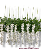 37'' Cassia Fistula ( H3001-WH )