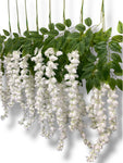 37'' Cassia Fistula ( H3001-WH )