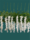 37'' Cassia Fistula ( H3001-WH )