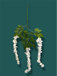 37'' Cassia Fistula ( H3001-WH )