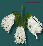37'' Cassia Fistula ( H3001-WH )