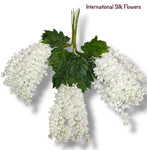 37'' Cassia Fistula ( H3001-WH )