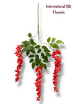 37'' Cassia Fistula ( H3001-RD )