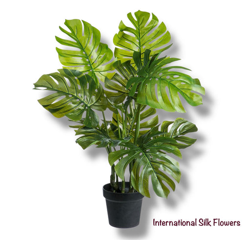 monstera adansonii sustrato Los Angeles Wholesaler | 2.2' Monstera Adansonii Plant ( LPM026-GR )-  International Silk Flowers