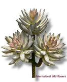 7'' Succulent ( 199122-GR/PK )