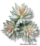 7'' Succulent ( 199122-GR/PK )
