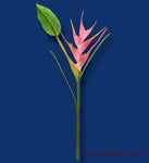 36" Heliconia Spray ( FSH840-PK )