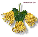 37'' Cassia Fistula ( H3001-Apricot Yellow  )