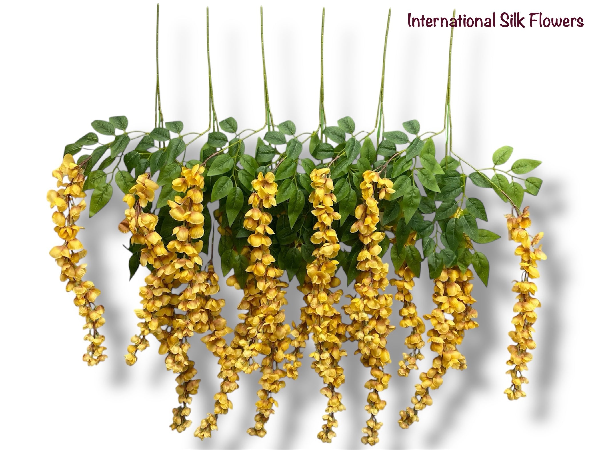 37'' Cassia Fistula ( H3001-Apricot Yellow  )