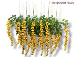 37'' Cassia Fistula ( H3001-Apricot Yellow  )