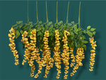 37'' Cassia Fistula ( H3001-Apricot Yellow  )