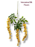 37'' Cassia Fistula ( H3001-Apricot Yellow  )