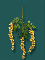 37'' Cassia Fistula ( H3001-Apricot Yellow  )