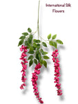 37'' Cassia Fistula ( H3001-BT  )