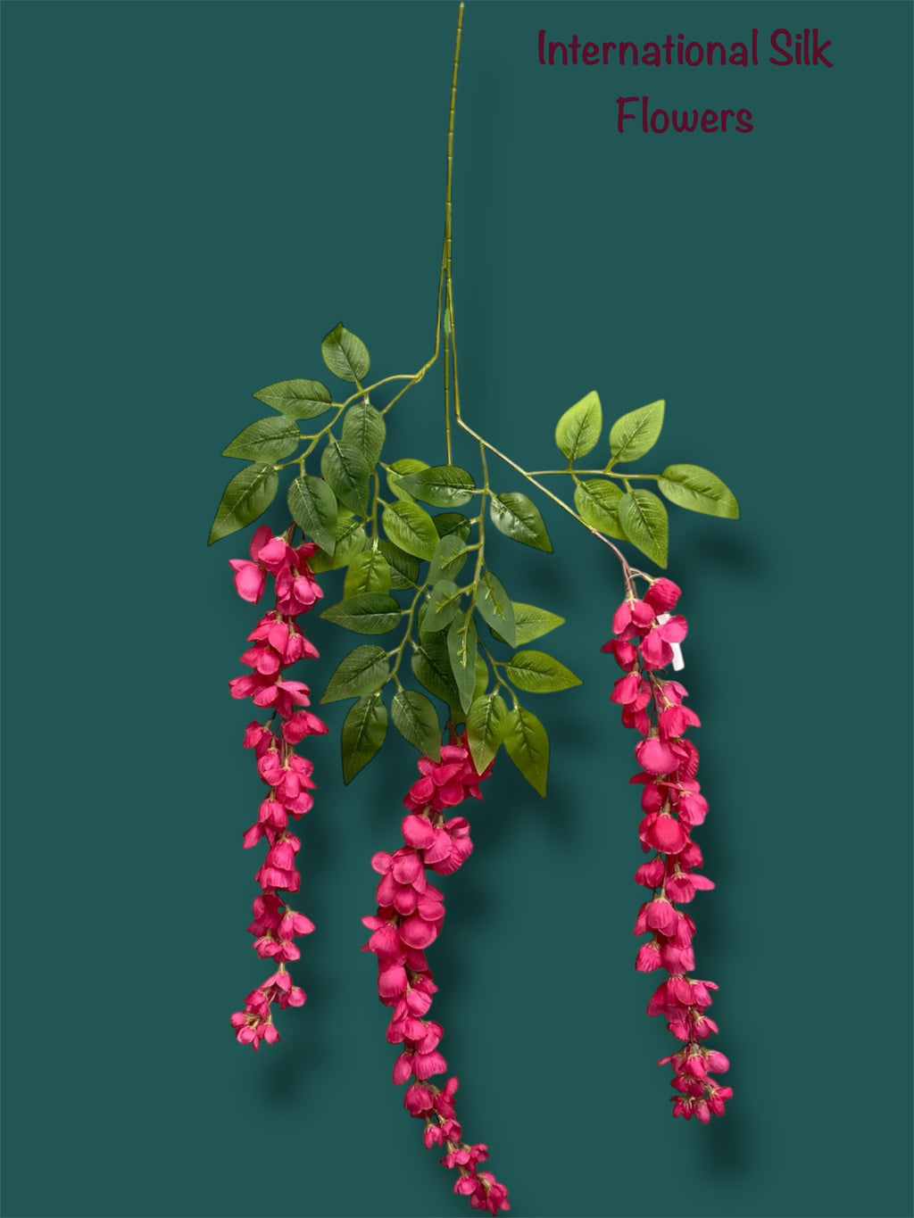 37'' Cassia Fistula ( H3001-BT  )