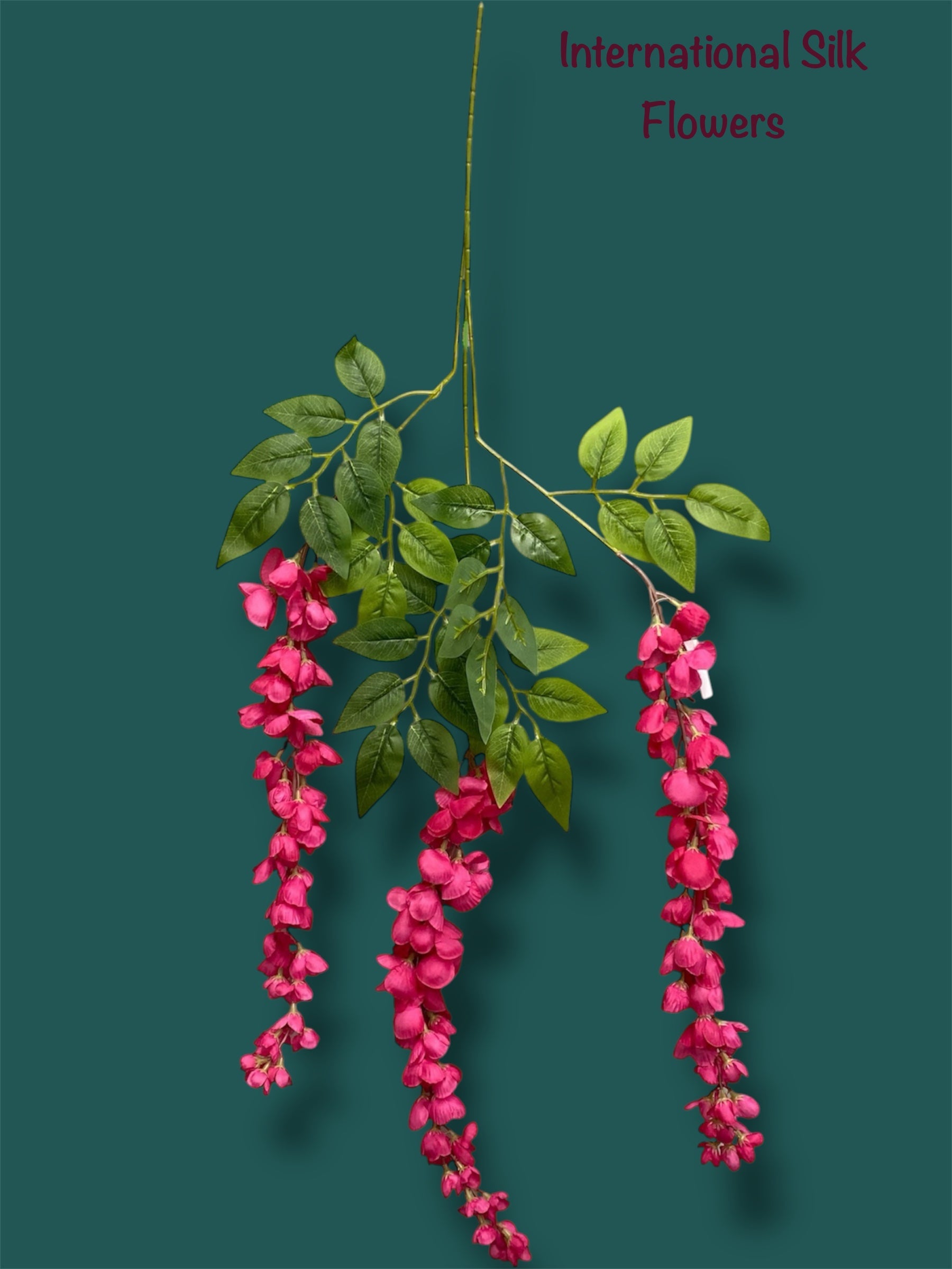 37'' Cassia Fistula ( H3001-BT  )