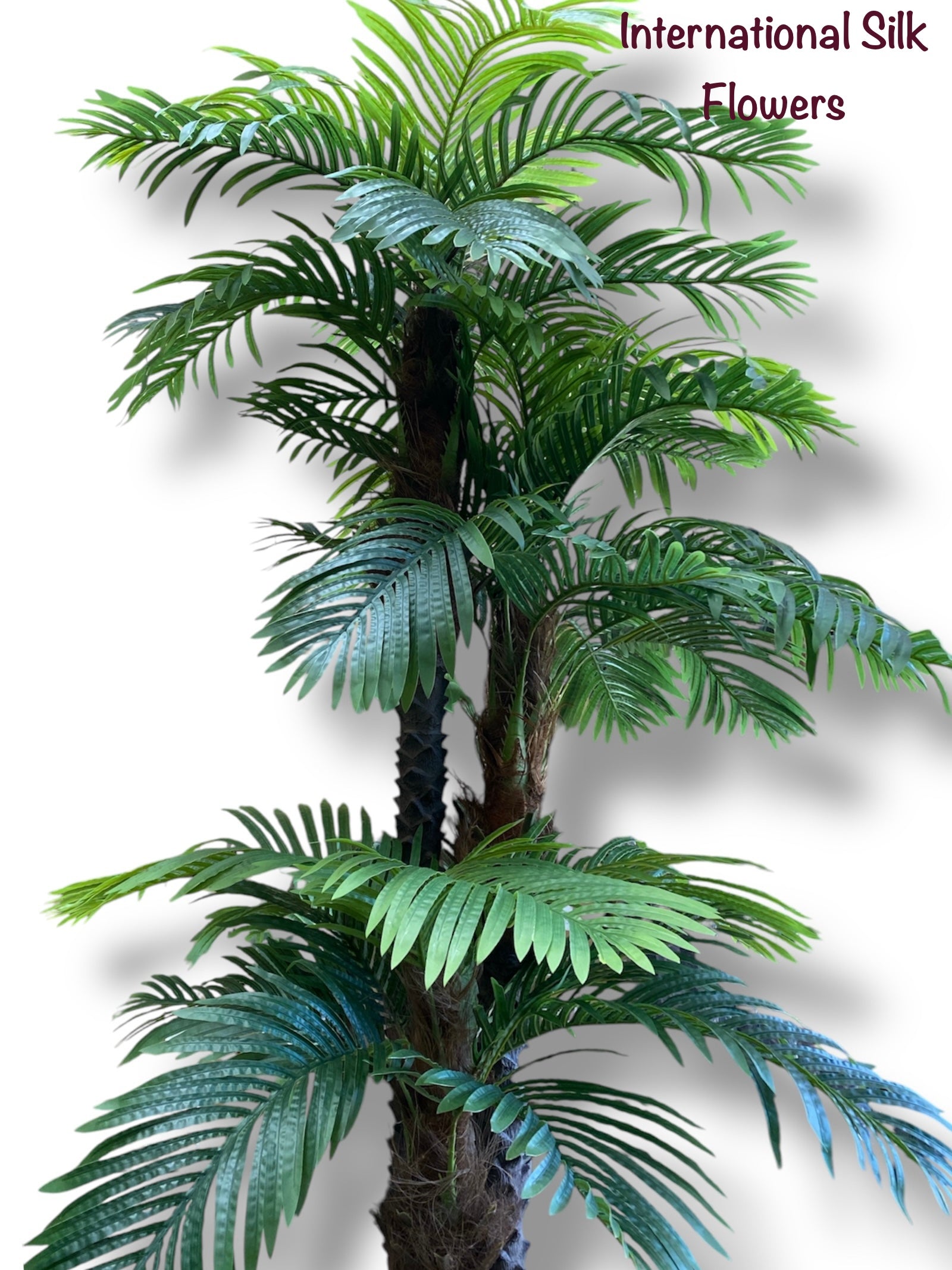 10' Phoenix Palm Tree ( INT839 )
