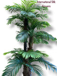 10' Phoenix Palm Tree ( INT839 )