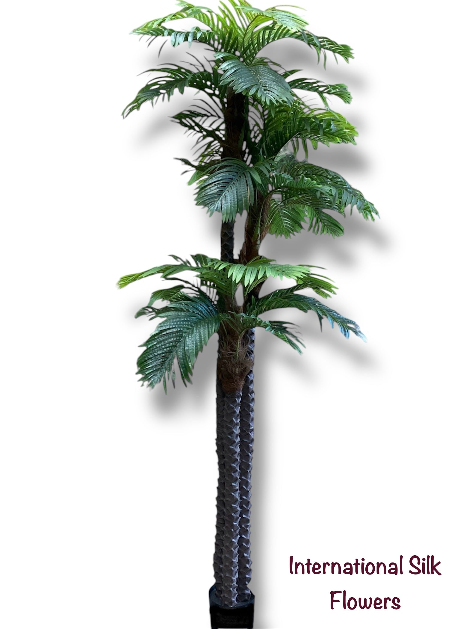 10' Phoenix Palm Tree ( INT839 )