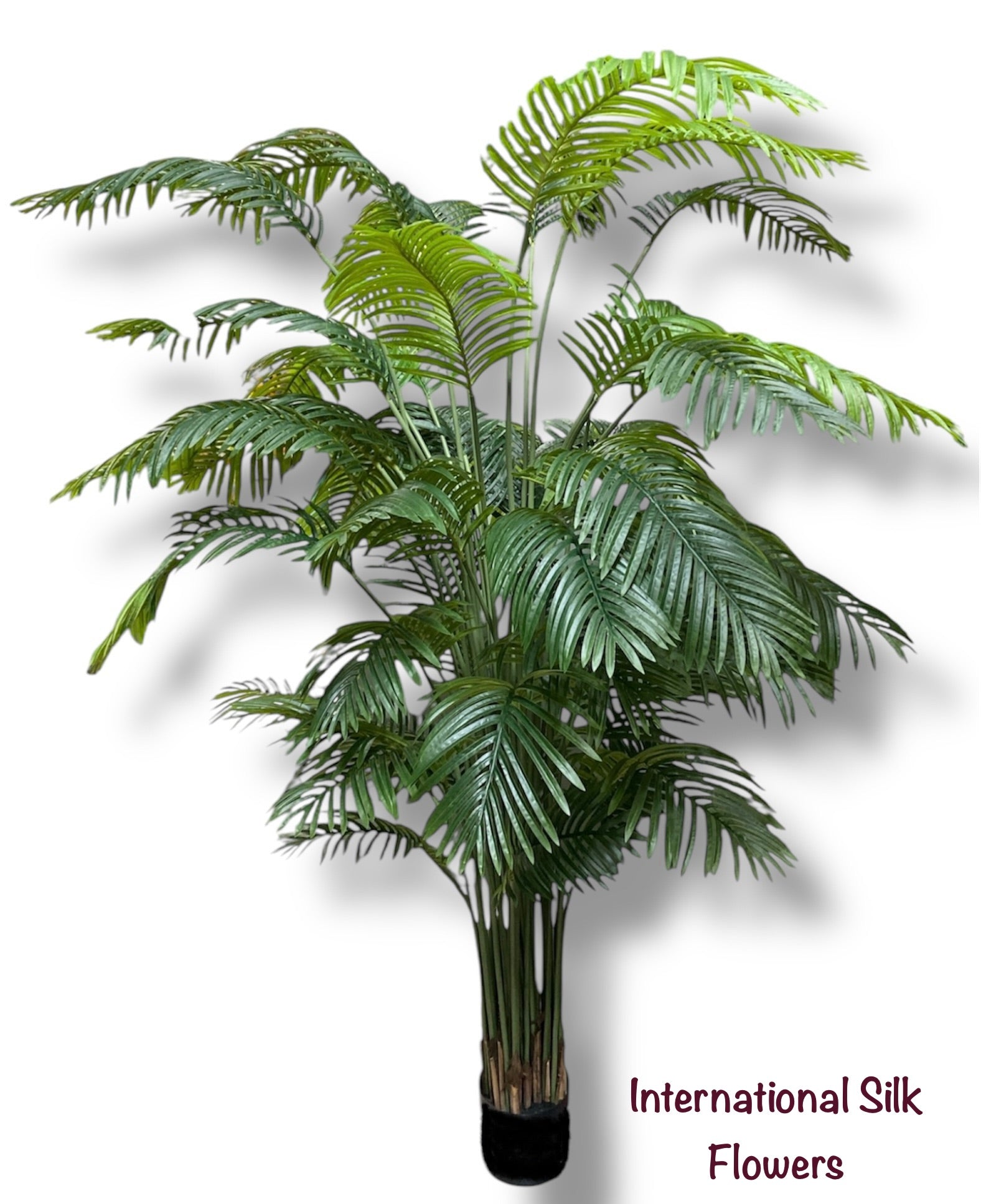 8.17' Phoenix Palm Tree ( INT830 )