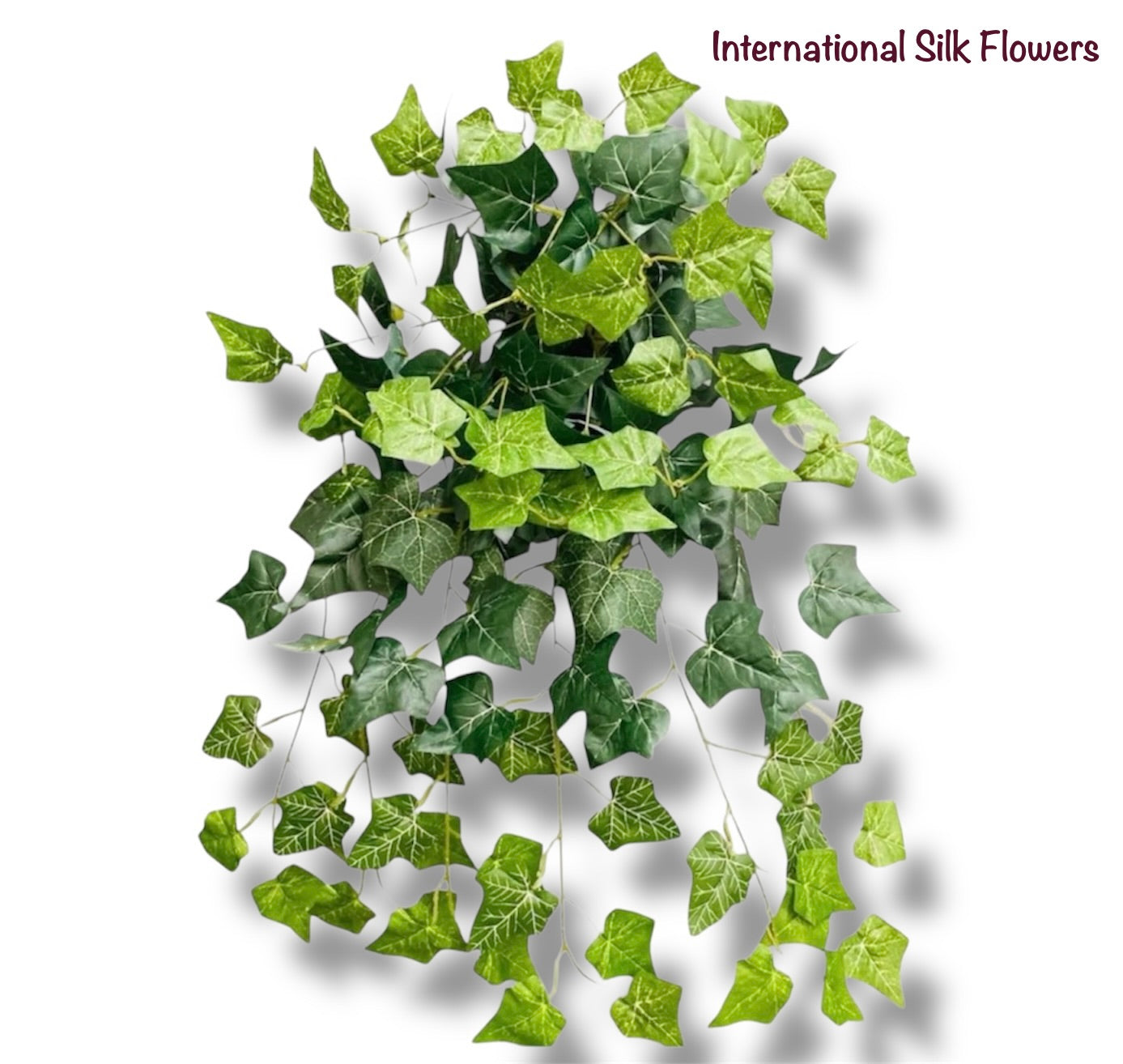 Los Angeles Wholesaler | 26'' English IVY Bush ( INT573-KA