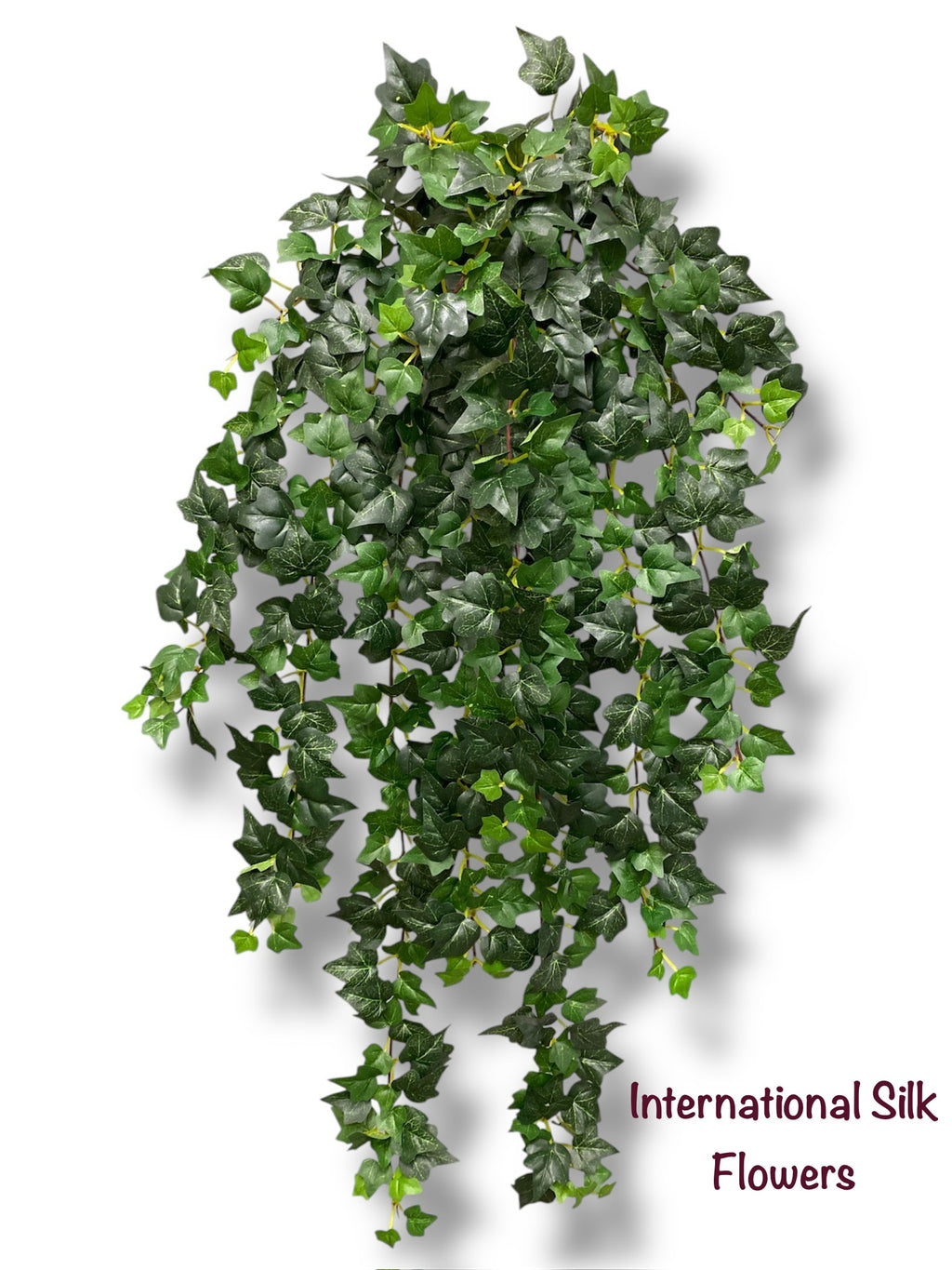 35'' Sage English Bush ( INT109 )